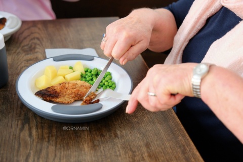 Talerz utrzymujący ciepło z podwójnym dnem (aksamitna purpura)